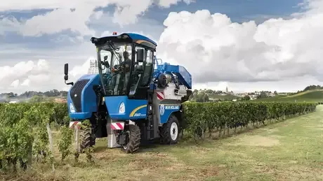 Grape & Olive Harvesters Our grape and olive harvesters offer superior efficiency with gentle handling to ensure maximum quality.